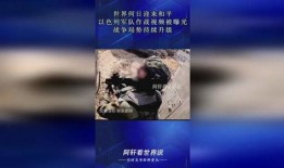 日本最新局势爆料视频,视频爆料揭示惊人内幕