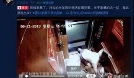 网红家庭爆料视频大全集,揭秘幕后生活点滴